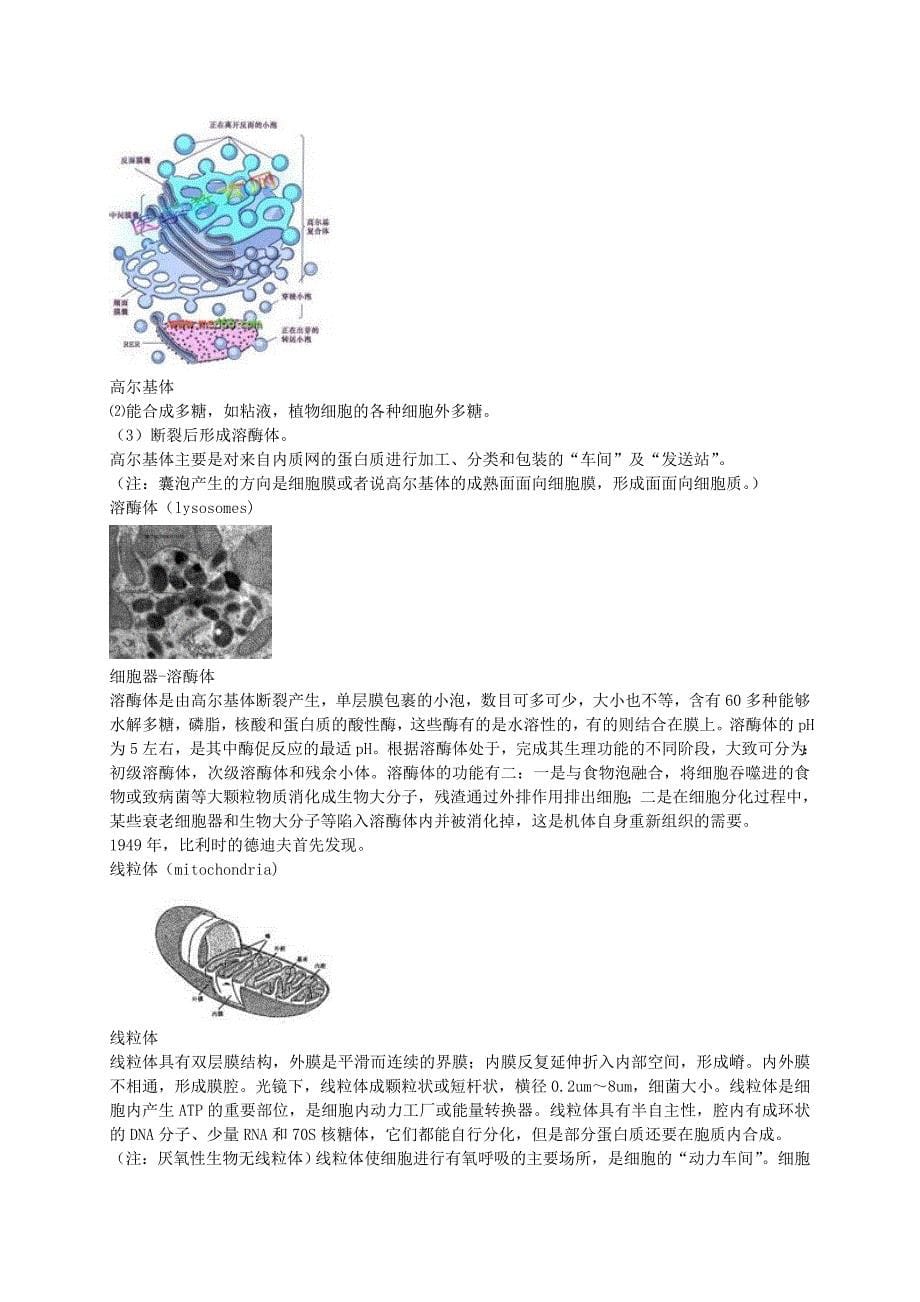 2022年高中生物《细胞器系统内的分工合作》问题导读解决评价单 新人教版必修1_第5页