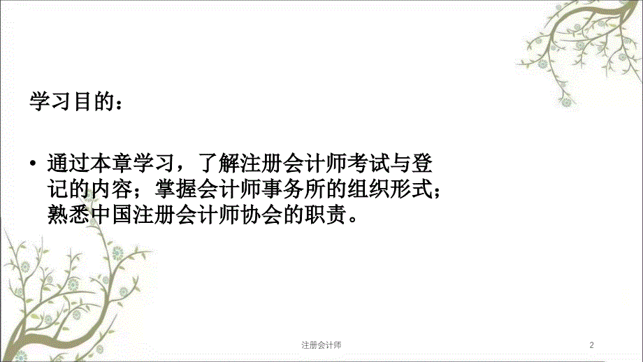 注册会计师课件_第2页