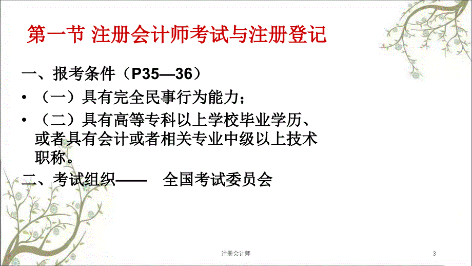 注册会计师课件_第3页