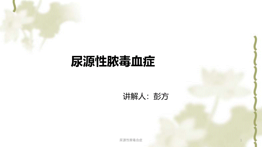 尿源性脓毒血症ppt课件_第1页