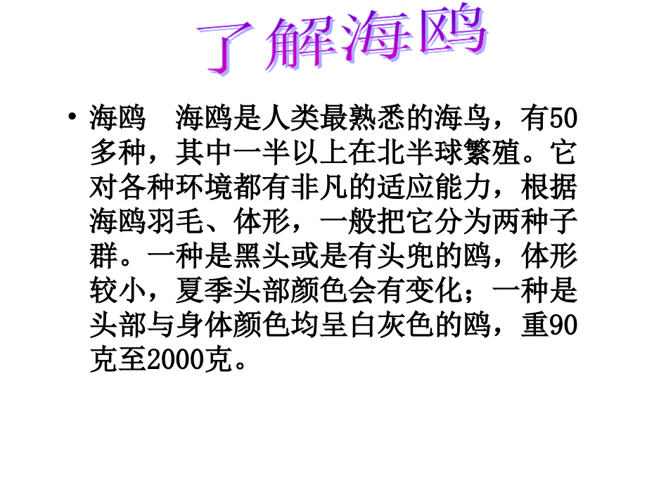 老人与海鸥第一课时_第1页