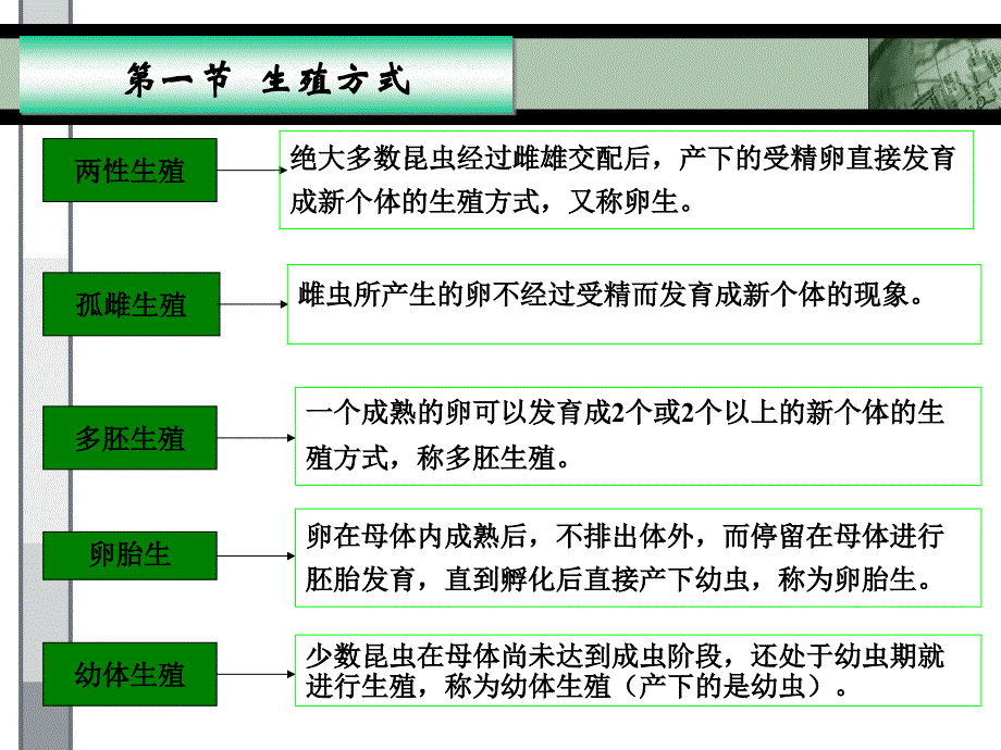 第三章-昆虫的生物学ppt课件_第2页