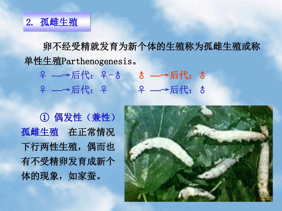 第三章-昆虫的生物学ppt课件_第4页