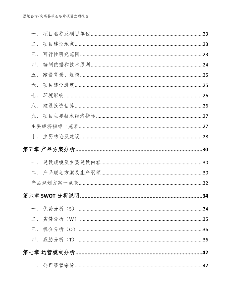 定襄县碳基芯片项目立项报告（范文参考）_第4页