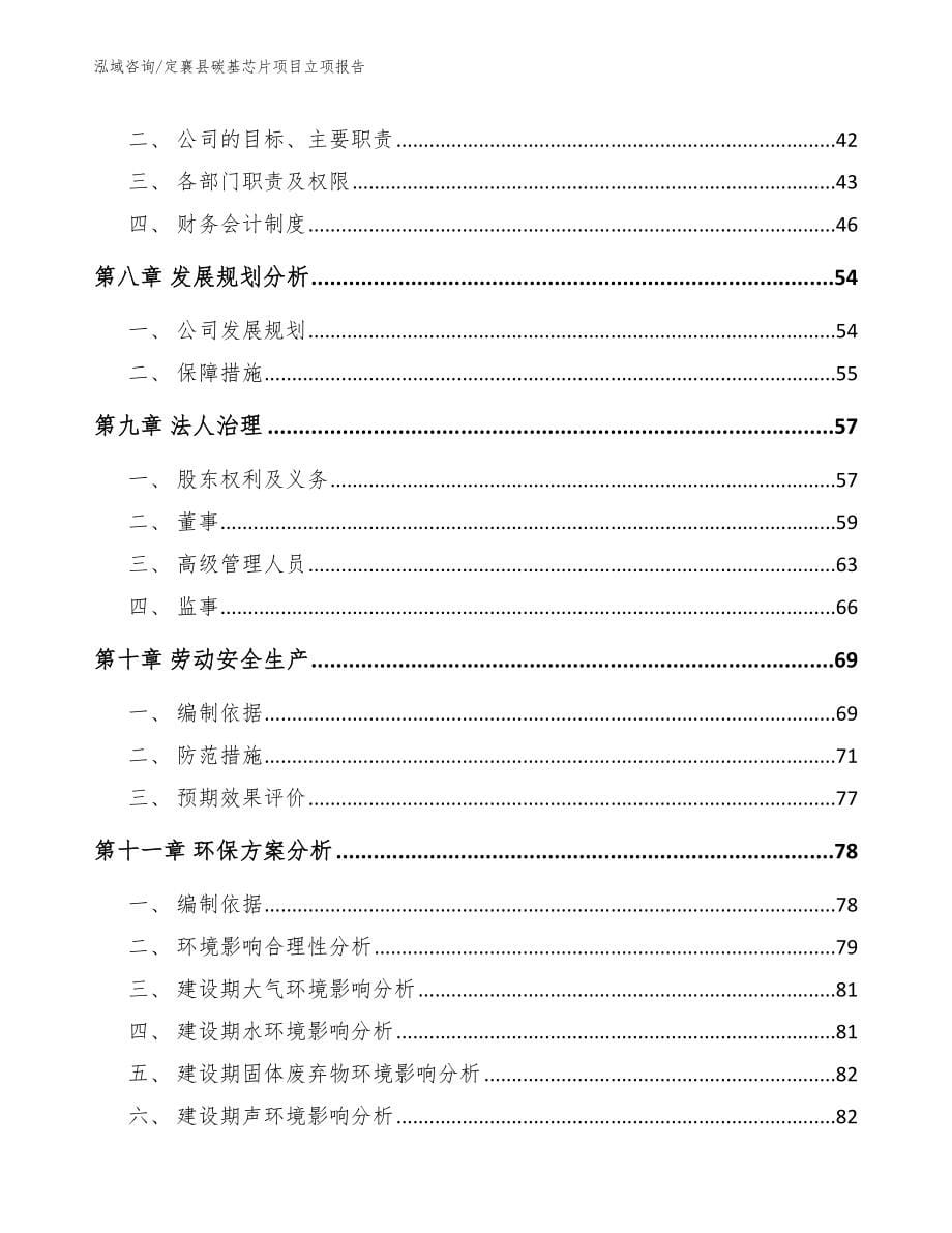 定襄县碳基芯片项目立项报告（范文参考）_第5页