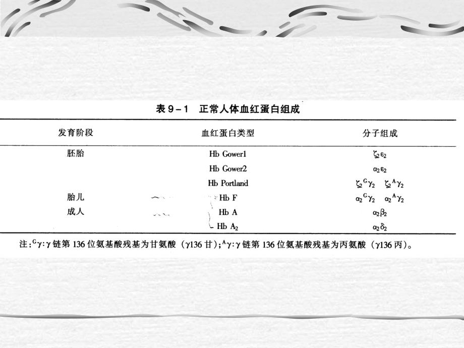 医学遗传学课件：第10章 生化遗传学_第2页