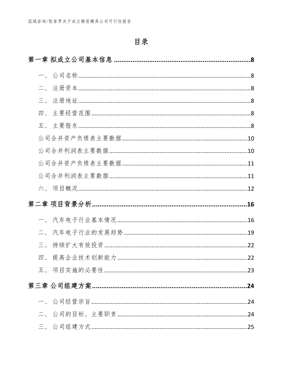 张家界关于成立精密模具公司可行性报告【范文参考】_第2页