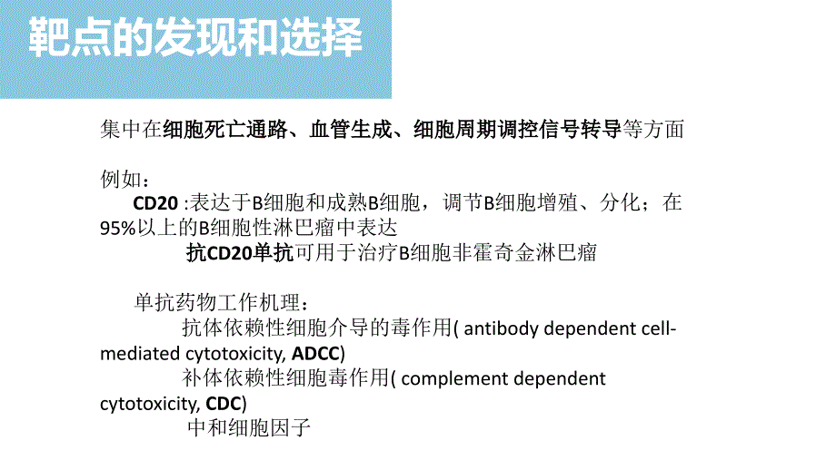 单克隆抗体药物的临床前研发.ppt_第4页