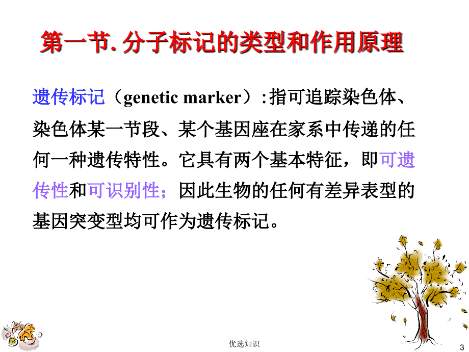 作物育种学总论第十四章分子标记辅助选择育种借鉴教学_第3页