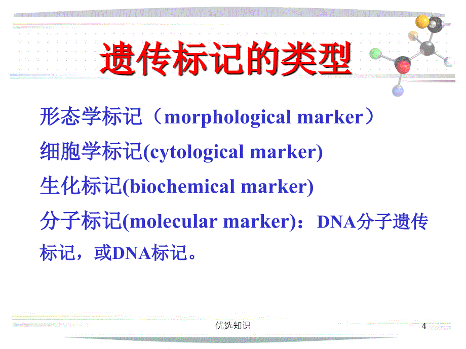 作物育种学总论第十四章分子标记辅助选择育种借鉴教学_第4页