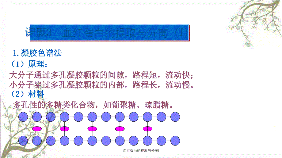 血红蛋白的提取与分离I_第3页