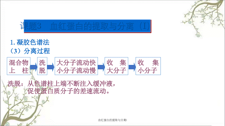 血红蛋白的提取与分离I_第4页