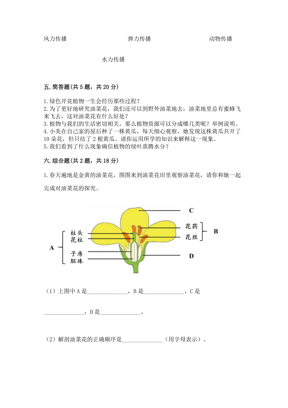 教科版科学四年级下册第1单元植物的生长变化测试卷含答案(名师推荐).docx_第3页