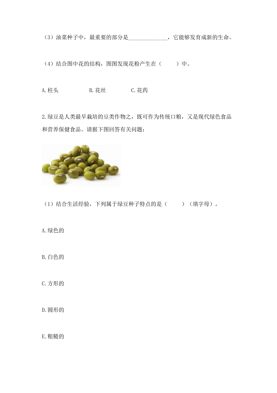 教科版科学四年级下册第1单元植物的生长变化测试卷含答案(名师推荐).docx_第4页