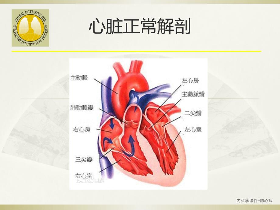 内科学课件—肺心病_第3页