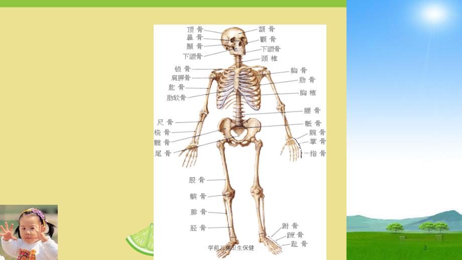 学前儿童卫生保健课件_第3页