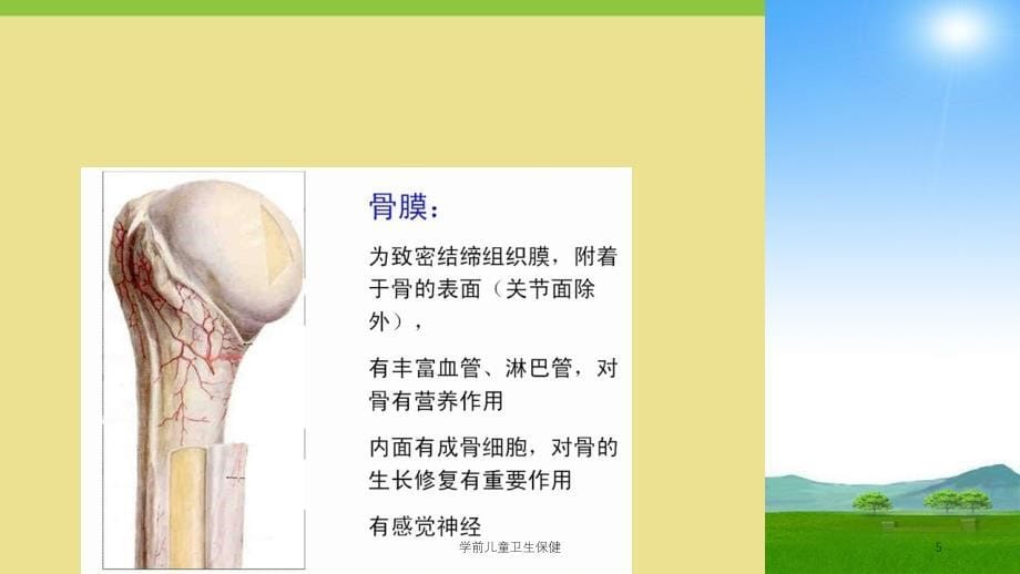 学前儿童卫生保健课件_第5页