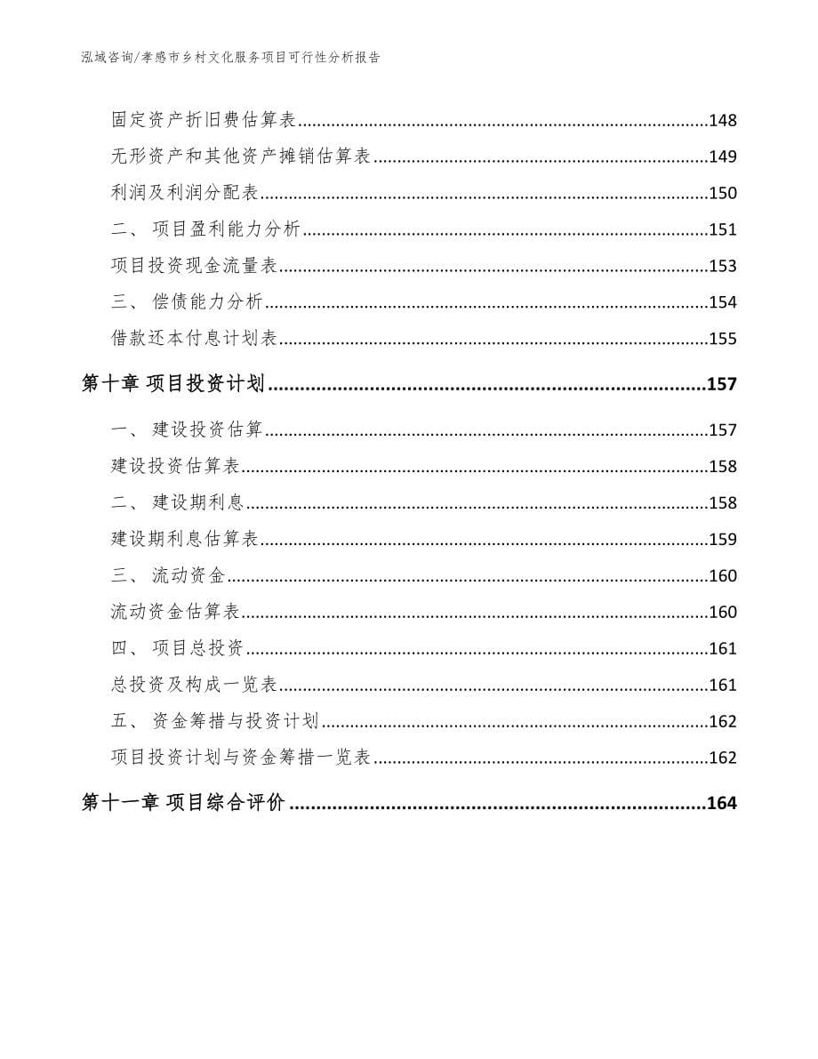 孝感市乡村文化服务项目可行性分析报告_范文参考_第5页