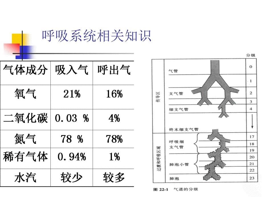 COPD病人的麻醉管理_第5页