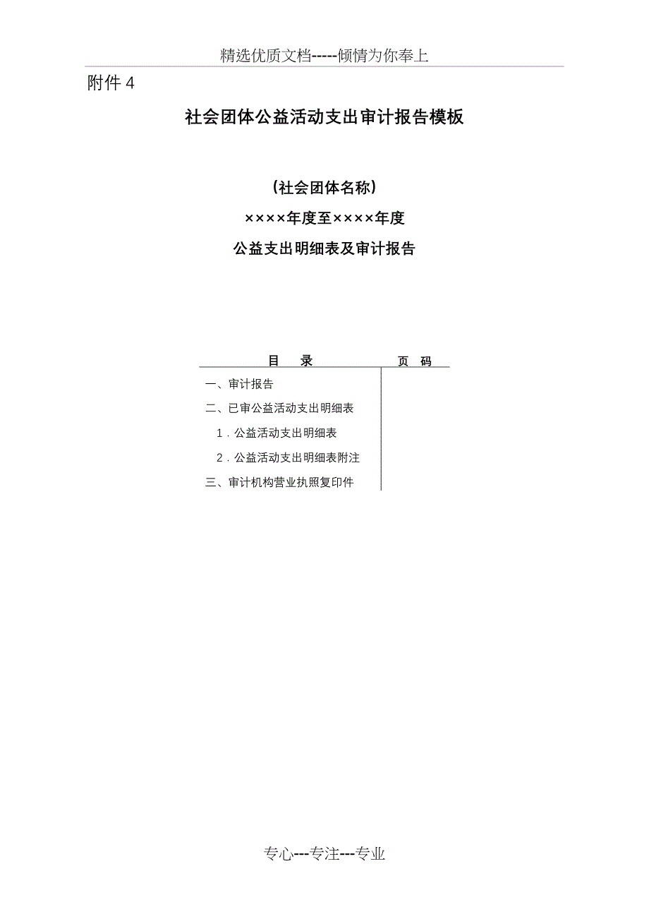 社会团体公益活动支出审计报告模板_第1页