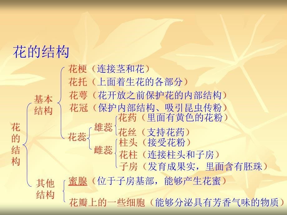 花的形态和解剖结_第5页