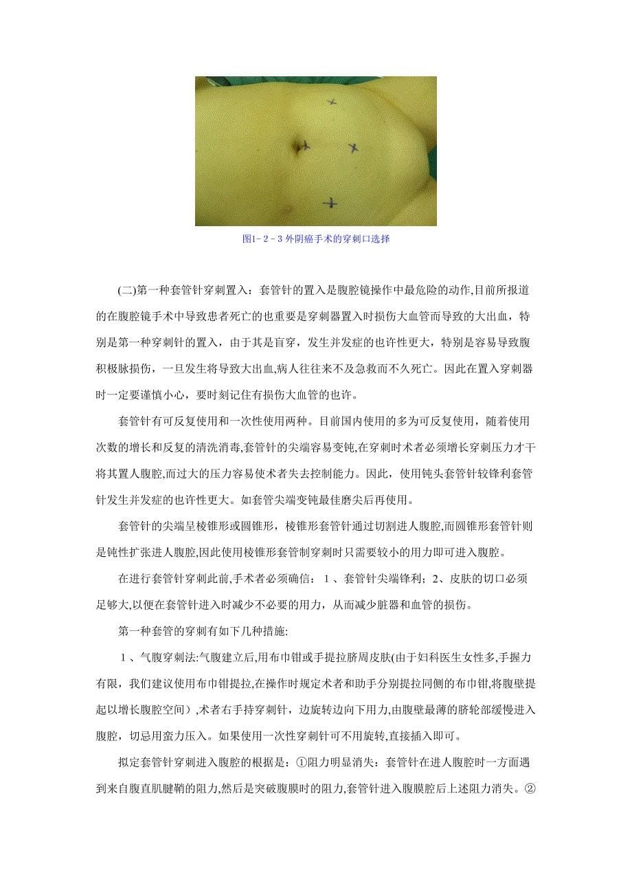 妇科腹腔镜手术技巧_第5页