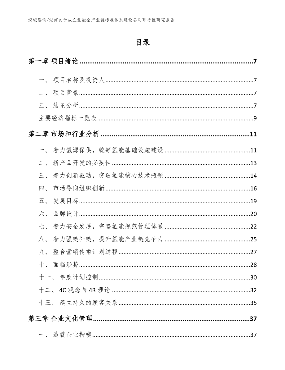 湖南关于成立氢能全产业链标准体系建设公司可行性研究报告【范文参考】_第2页