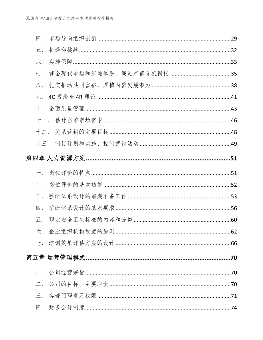 四川省提升传统消费项目可行性报告（模板参考）_第2页