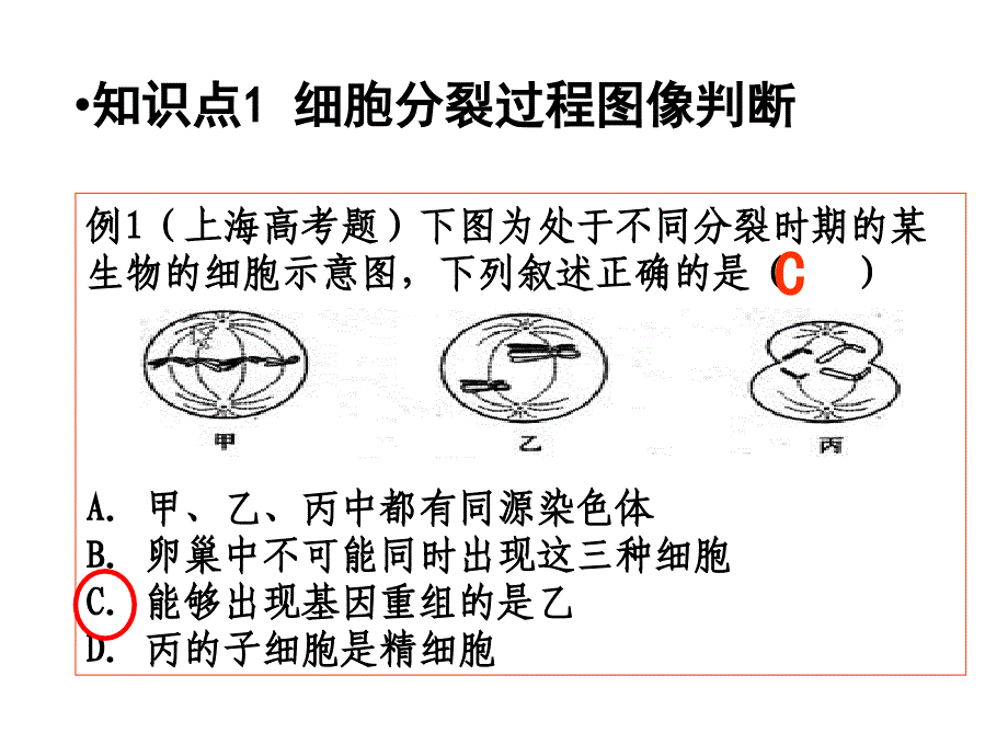 细胞增殖专题(二轮复习)_第2页