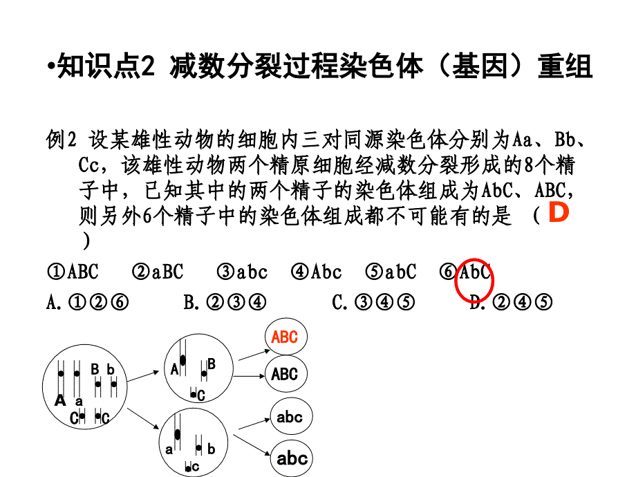 细胞增殖专题(二轮复习)_第4页