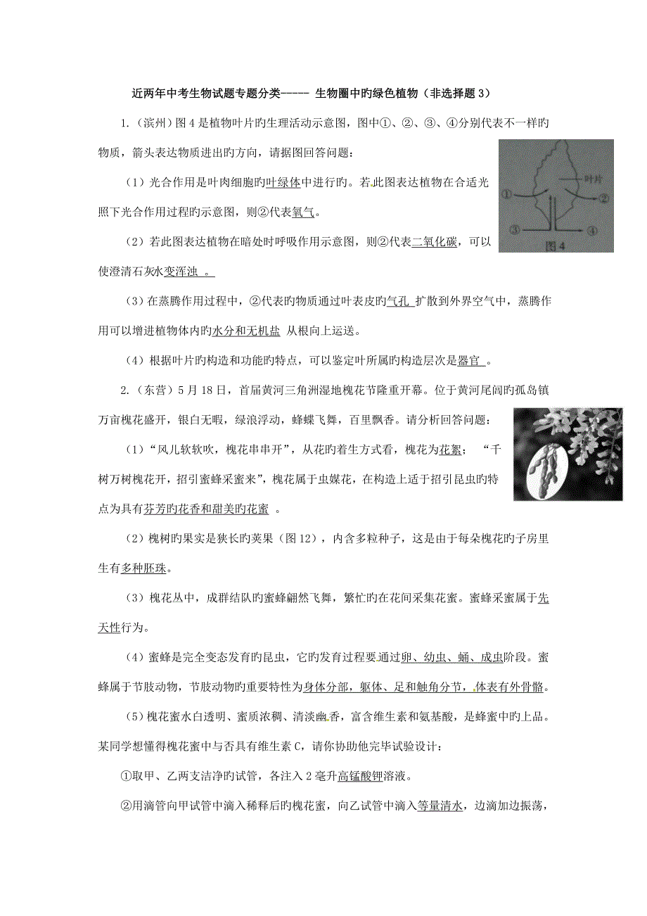 各地中考生物试题分考点汇编生物圈中的绿色植物非选择题_第1页