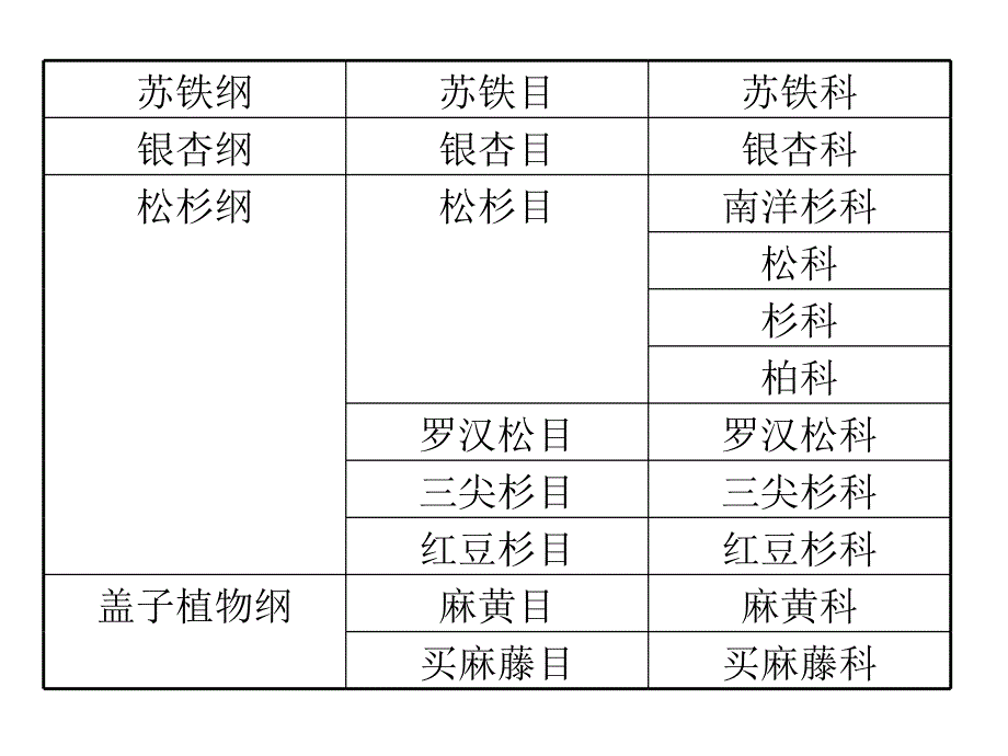 裸子植物形态术语R_第4页