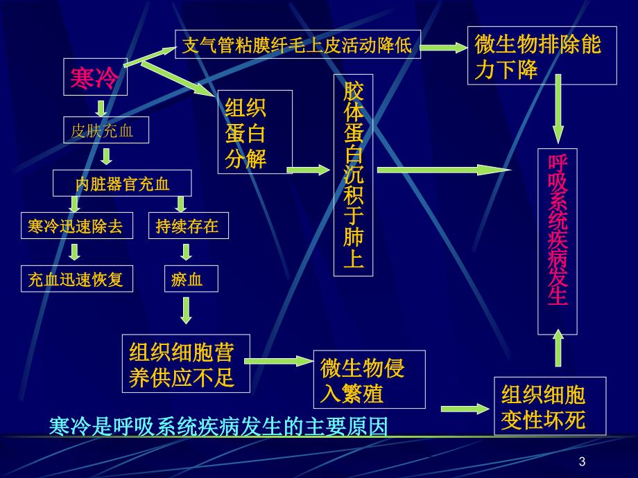 动物内科病呼吸系统疾病参考PPT_第3页