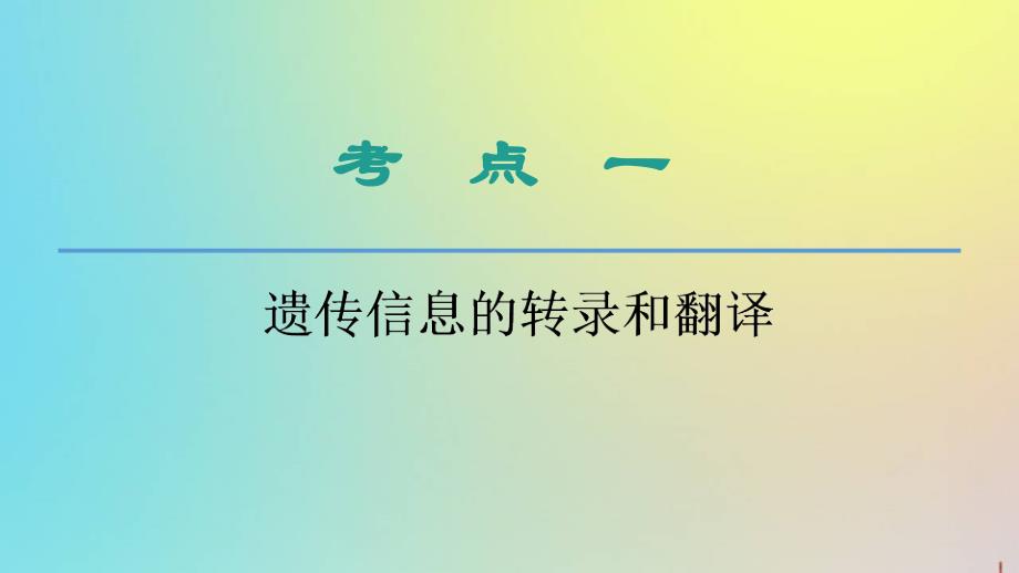 版高考生物一轮复习第6单元第3讲基因的表达课件新人教版_第4页