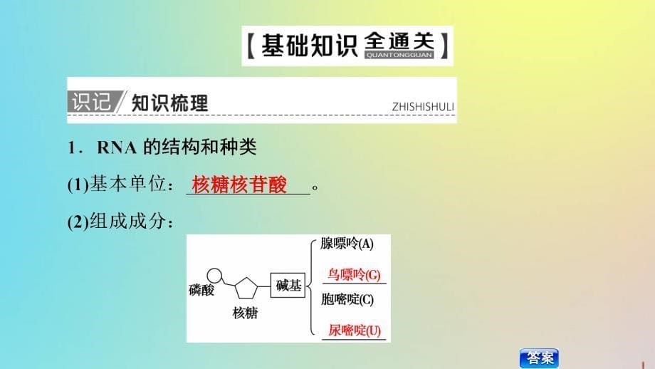 版高考生物一轮复习第6单元第3讲基因的表达课件新人教版_第5页