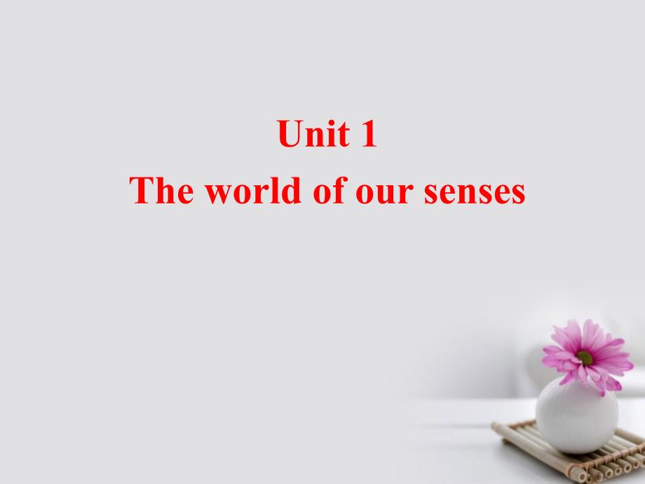 湖南省茶陵县高中英语 Unit 1 The world of our senses Language points课件 牛津译林版必修3_第2页