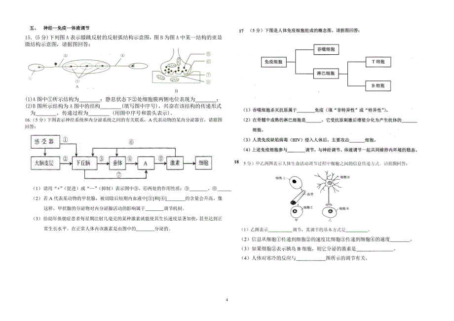 云南省历年高中学业水平考试生物大题汇集附答案版.doc_第4页