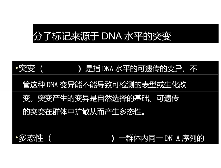 培训讲座——分子标记_第4页