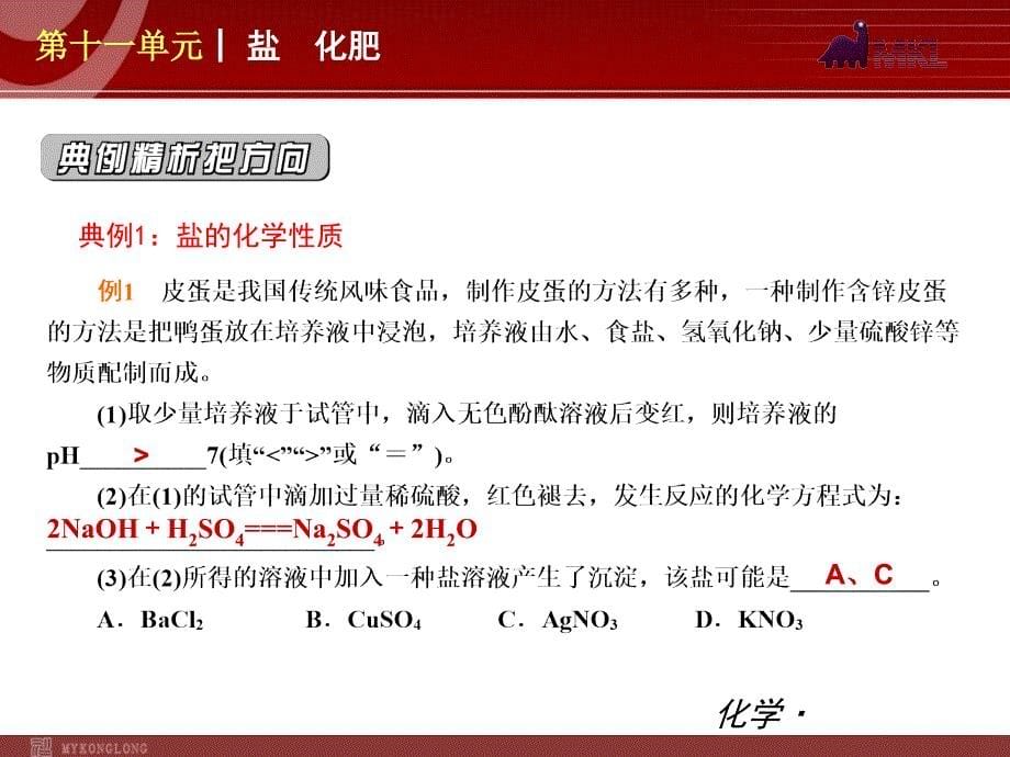 (新教材)人教版九年级化学第11单元盐化肥_第5页