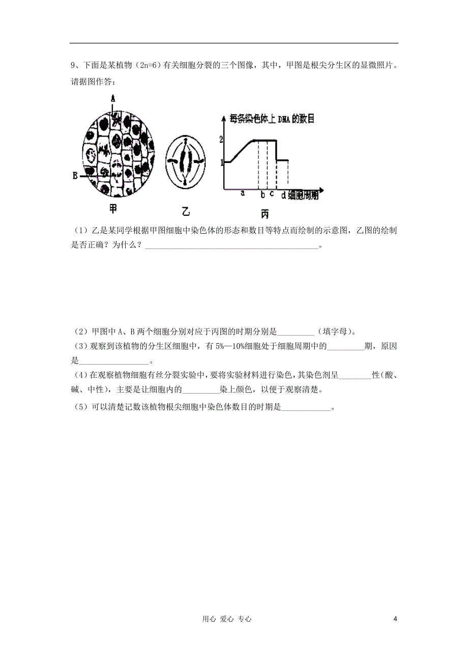 福建省大田一中高二生物暑假作业试题2_第4页