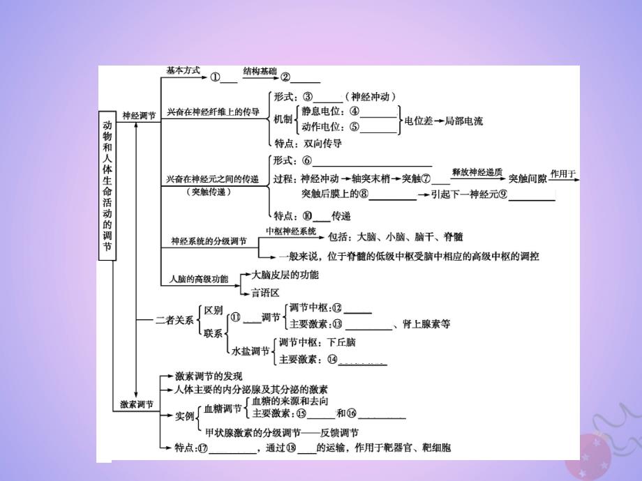 高中生物第2章动物和人体生命活动的调节本章整合课件新人教版必修_第2页