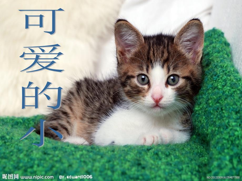 新北师大版一年级数学上册《可爱的小猫》课件_第2页