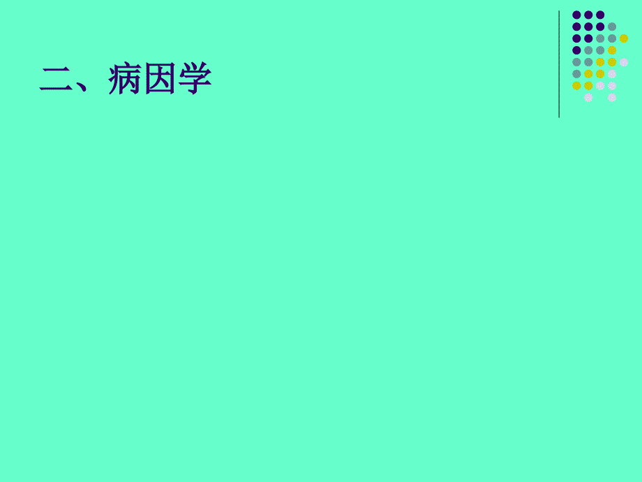 医学专题：泌尿、男生殖系结核_第4页