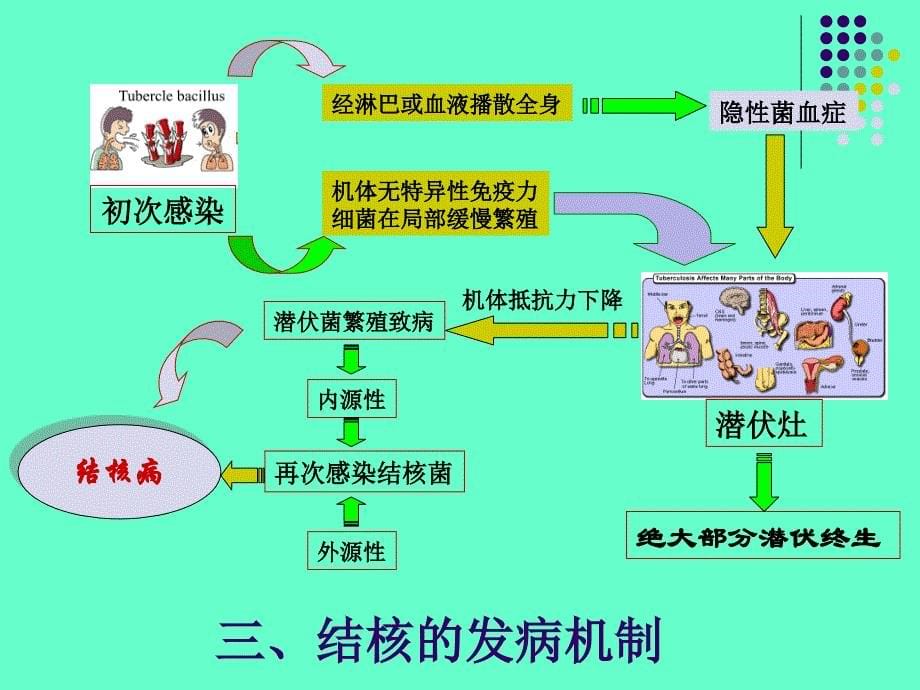 医学专题：泌尿、男生殖系结核_第5页