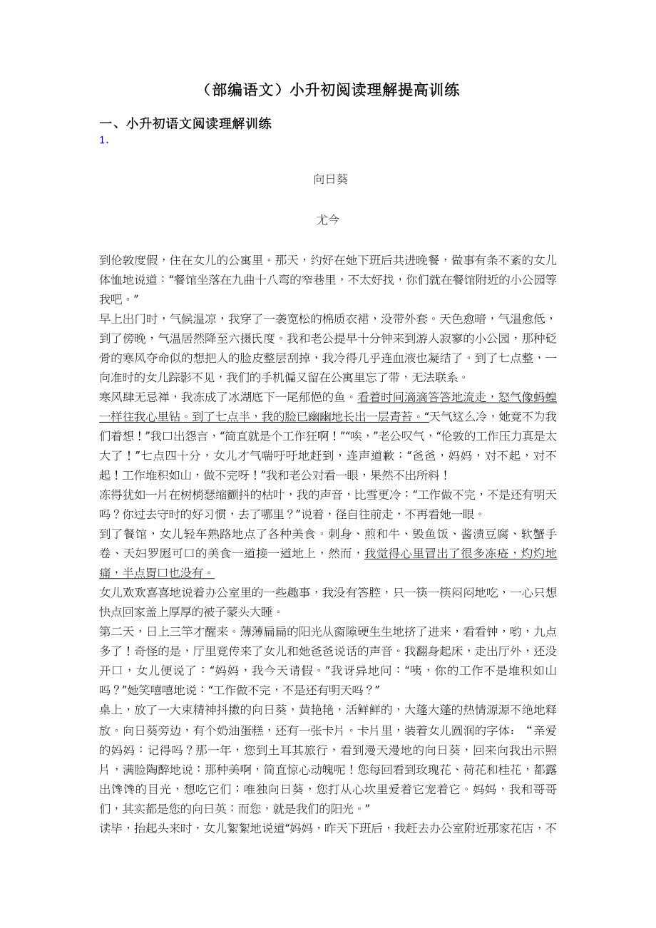 小升初(部编语文)小升初阅读理解提高训练.doc_第1页