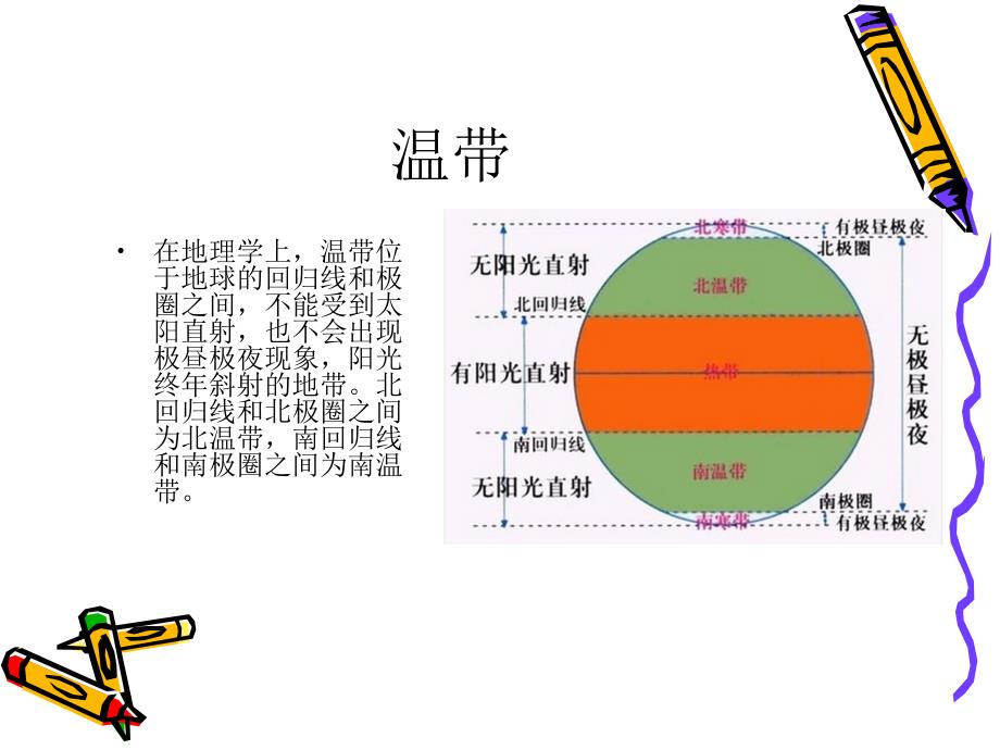 温带植被类型概述PPT课件_第2页