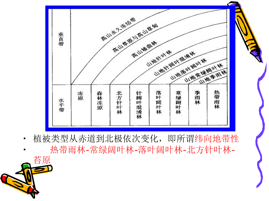 温带植被类型概述PPT课件_第4页