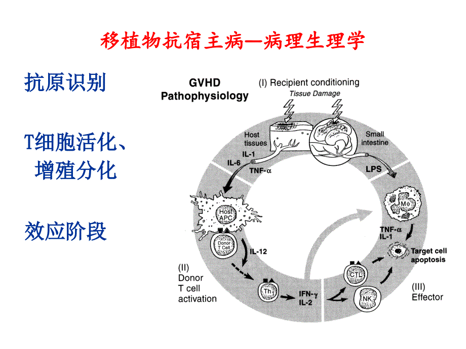 免疫抑制剂 汇总_第4页