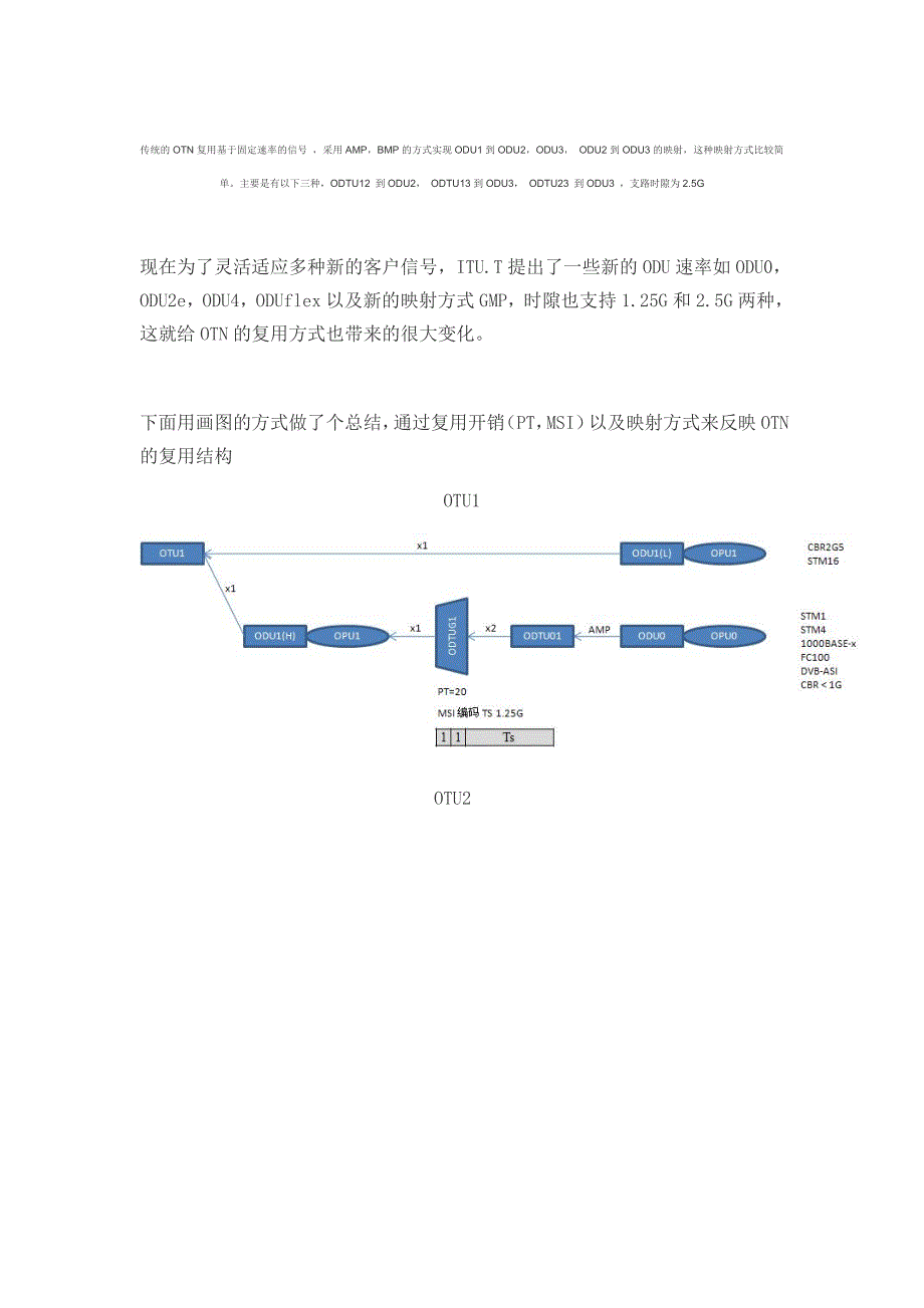 OTN Multiplex 图解.doc_第1页