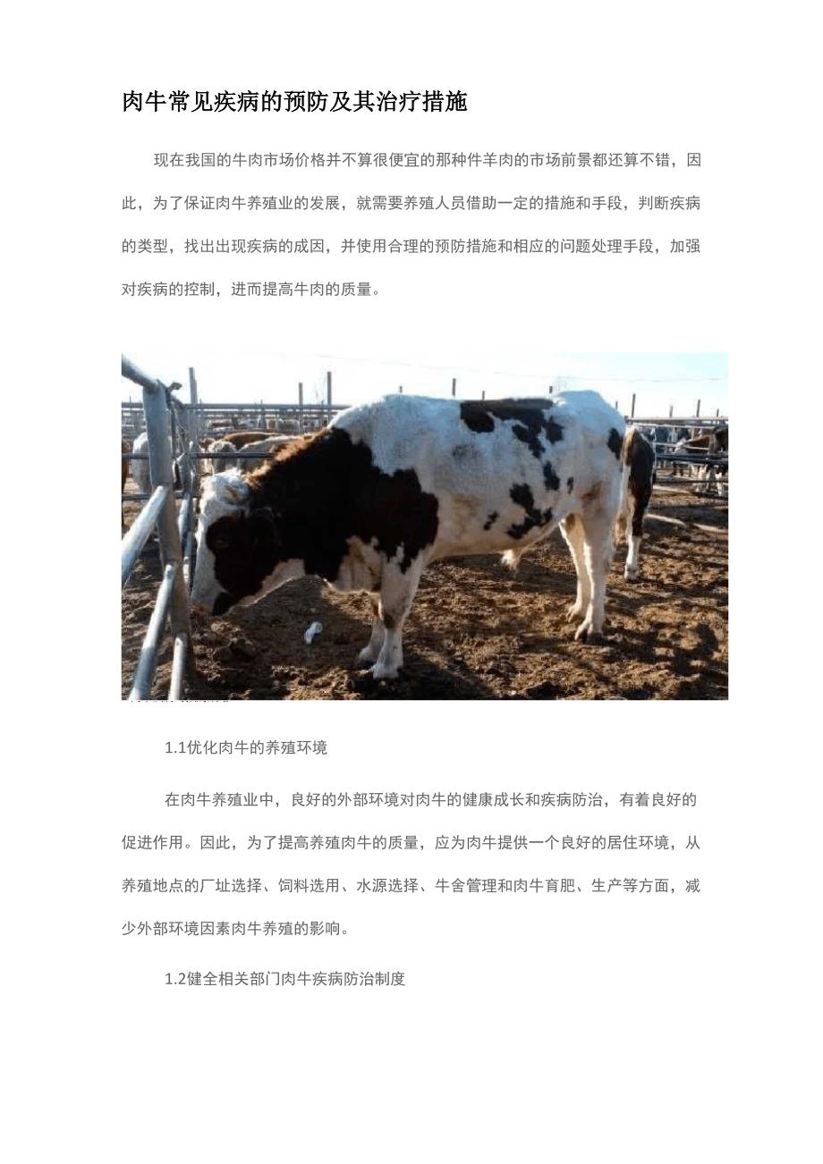 肉牛常见疾病的预防及其治疗措施_第1页